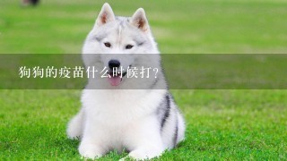 狗狗的疫苗什么时候打？