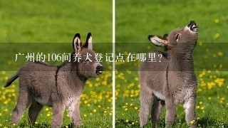 广州的106间养犬登记点在哪里？