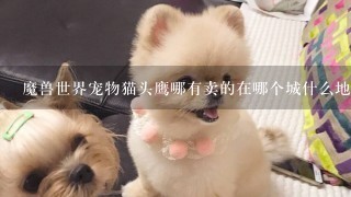 魔兽世界宠物猫头鹰哪有卖的在哪个城什么地方,拍卖