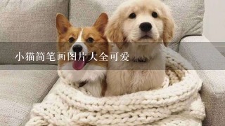 小猫简笔画图片大全可爱