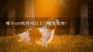 哪个app软件可以上门喂养宠物？