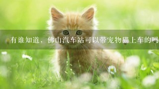 有谁知道，佛山汽车站可以带宠物猫上车的吗？过得了安检吗？很急啊……