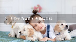 安徽无为高沟有宠物医院吗