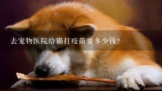 去宠物医院给猫打疫苗要多少钱?