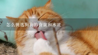 怎么挑选狗狗的食盆和水盆