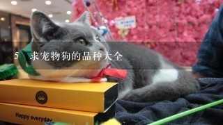 5 求宠物狗的品种大全