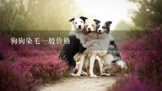 狗狗染毛一般价格