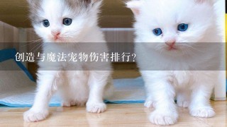 创造与魔法宠物伤害排行？