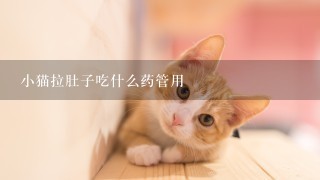 小猫拉肚子吃什么药管用