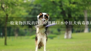 一般宠物医院的PcR检测猫口水中狂犬病毒准确率多少