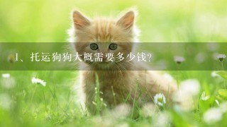 托运狗狗大概需要多少钱？