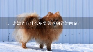 谁知道有什么免费领养狗狗的网站？