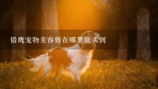 猎鹰宠物美容剪在哪里能买到