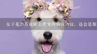 女子花25万克隆去世宠物狗引热议，还会是原来的狗狗