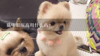 猫咪眼压高用什么药？