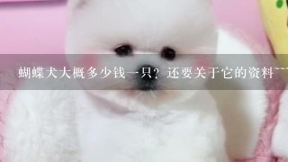 蝴蝶犬大概多少钱一只？还要关于它的资料~~~