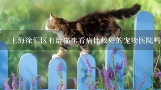 上海徐汇区有给猫咪看病比较好的宠物医院吗？