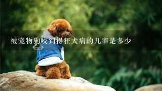 被宠物狗咬到得狂犬病的几率是多少