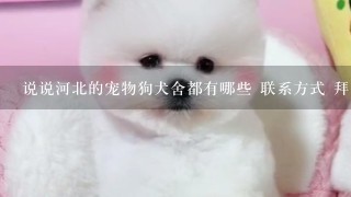 说说河北的宠物狗犬舍都有哪些 联系方式 拜托