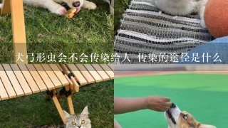 犬弓形虫会不会传染给人 传染的途径是什么