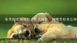 家里的宠物狗打了狂犬疫苗，到哪里检查它体内是否产生了抗体？到哪里检查宠物狗体内是不是携带狂犬病毒？