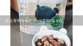 什么宠物寿命长点,可爱的,有毛的