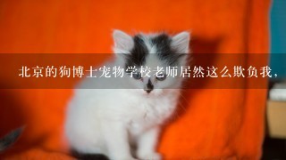 北京的狗博士宠物学校老师居然这么欺负我，我真想杀了他们，但是我还不能去这么做，我应该怎么办，谁能帮我