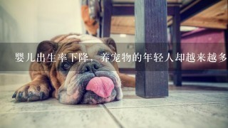 婴儿出生率下降，养宠物的年轻人却越来越多，宁养猫