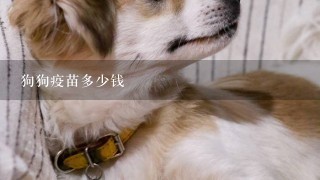 狗狗疫苗多少钱