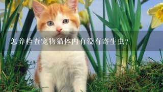 怎养检查宠物猫体内有没有寄生虫？