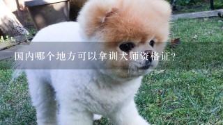 国内哪个地方可以拿训犬师资格证？