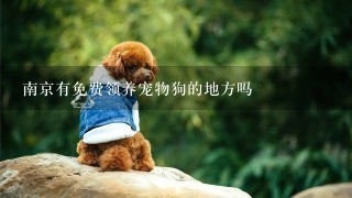 南京有免费领养宠物狗的地方吗