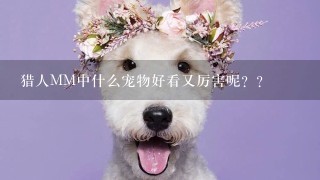 猎人MM中什么宠物好看又厉害呢？？