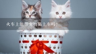 火车上能带宠物猫上车吗？