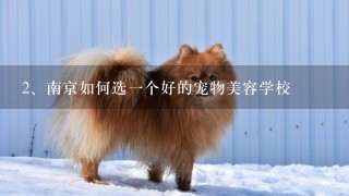 南京如何选一个好的宠物美容学校