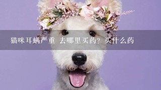 猫咪耳螨严重 去哪里买药？买什么药