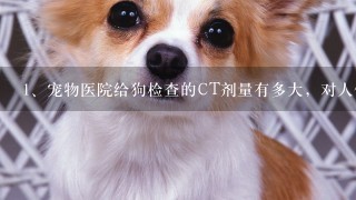 宠物医院给狗检查的CT剂量有多大，对人体有害吗？