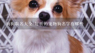 狗狗取名大全 好听的宠物狗名字有哪些