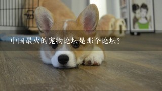 中国最火的宠物论坛是那个论坛？
