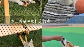 家里养猫咪用什么消毒