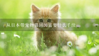 从日本带宠物猫回国需要什么手续