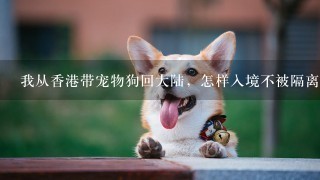 我从香港带宠物狗回大陆，怎样入境不被隔离呢?