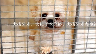 犬拔牙术，犬拔牙术价格，犬拔牙术多少钱一只，犬拔