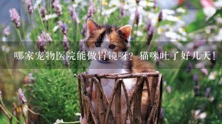 哪家宠物医院能做胃镜呀？猫咪吐了好几天！费用大概