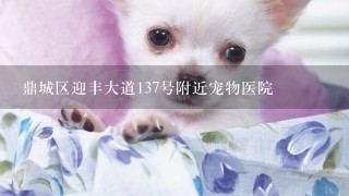 鼎城区迎丰大道137号附近宠物医院