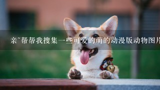 亲~帮帮我搜集一些可爱的萌的动漫版动物图片