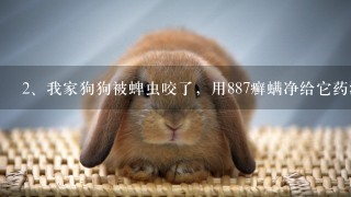 我家狗狗被蜱虫咬了，用887癣螨净给它药浴有用吗