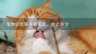 宠物店给猫咪剃毛么，什么价位