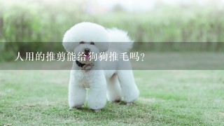 人用的推剪能给狗狗推毛吗？