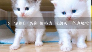 15 宠物店 买狗 价格表 我想买一条边境牧羊犬 或金毛犬 多少钱